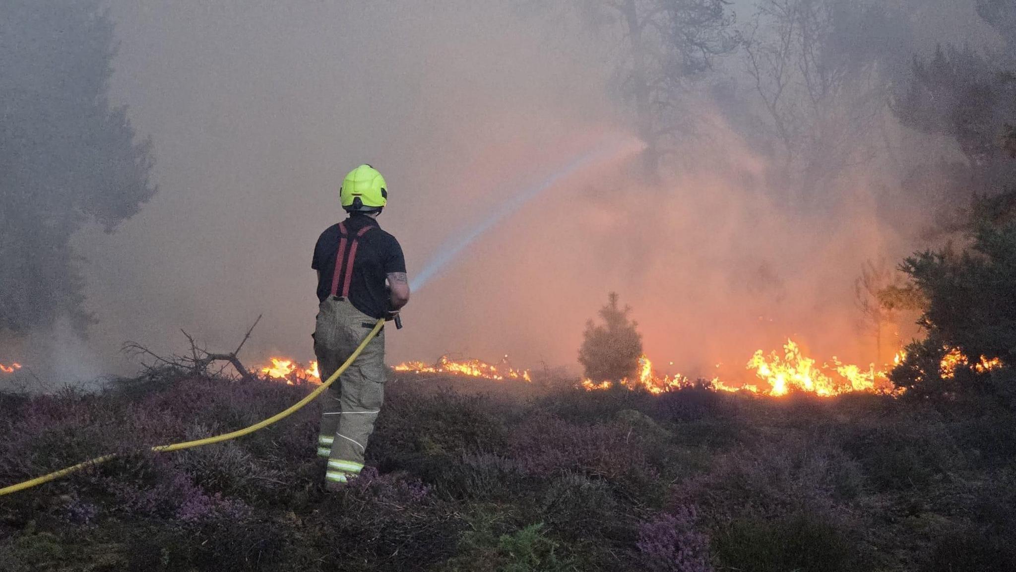 Firefighter sprays liquid at fire through yellow hose. The fire burns heathland in front of them, with smoke rising in to the air