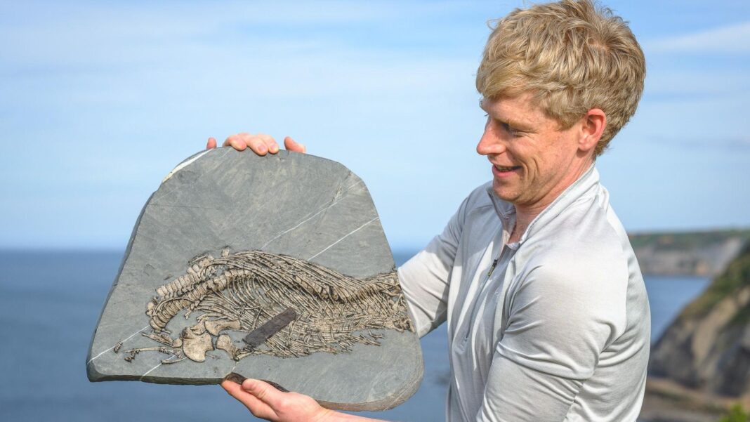 Mountaineer who began fossil hunting after near-death experience discovers rare ‘sea dragon’ Mountaineer who began fossil hunting after near-death experience discovers rare ‘sea dragon’