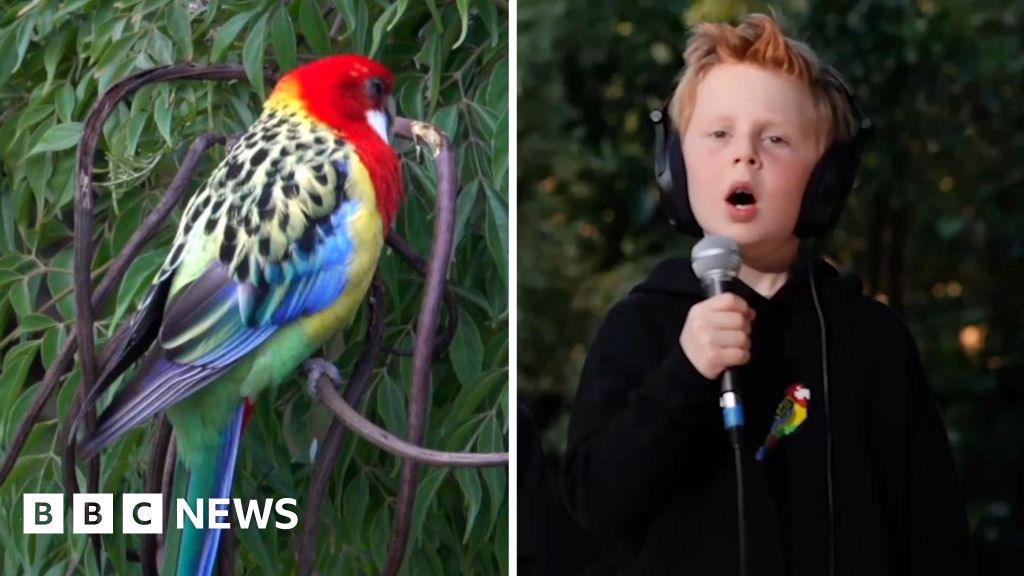 Eastern Rosellas! – Meet the seven-year-old behind viral song Eastern Rosellas! – Meet the seven-year-old behind viral song