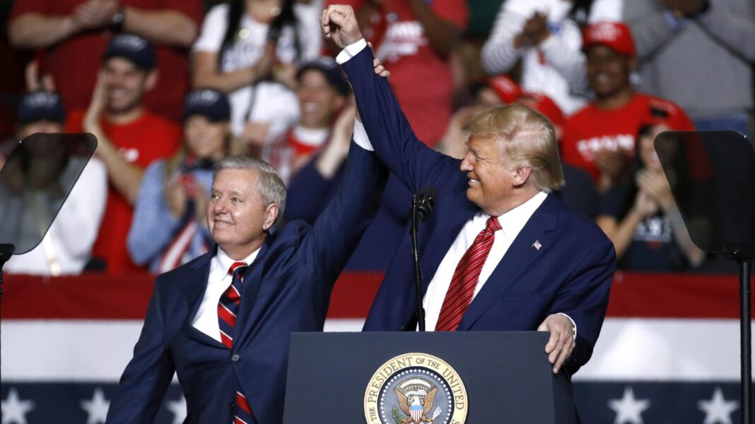 Lindsey Graham’s sister chosen as replacement after senator’s death Lindsey Graham’s sister chosen as replacement after senator’s death