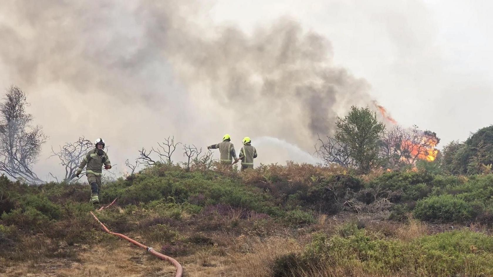 Three fire officers tackle a large heathland fire. Smoke billows and flames can be seen, as well as a hose reel.