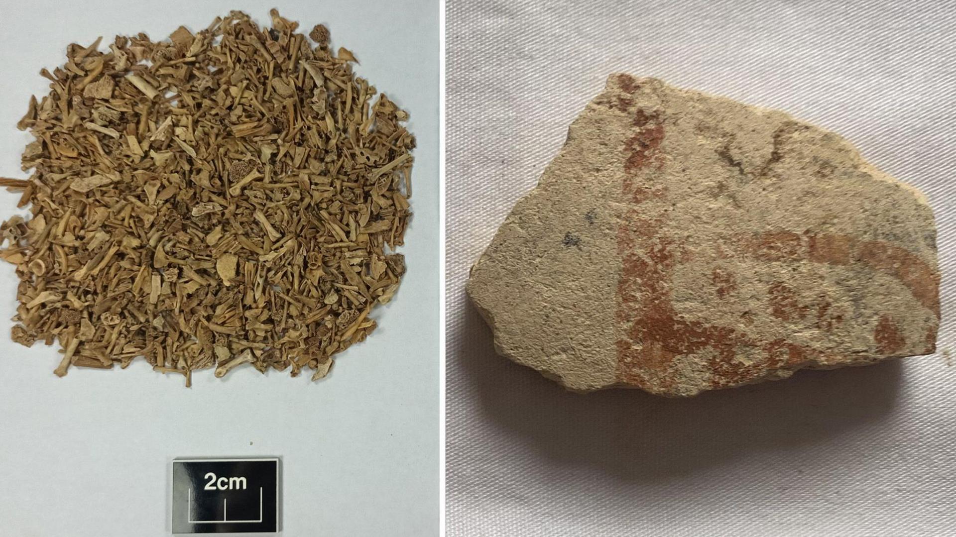 Left: a pile of tiny, brownish green bone fragments with a ruler underneath showing 2cm the pile of bones. By this scale, the bones are all less than a 1cm. Right: A broken grey fragment of pottery in a jagged shape, with a red/orange print of unclear lines and dots.