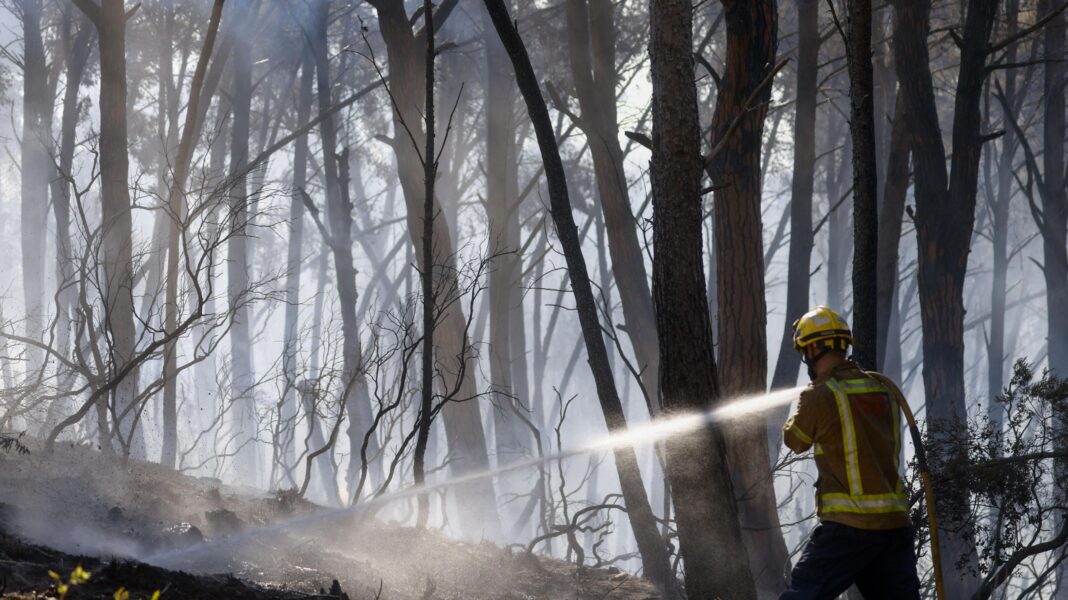 Twelve die in wildfire in Spain as heatwave continues in southern Europe Twelve die in wildfire in Spain as heatwave continues in southern Europe