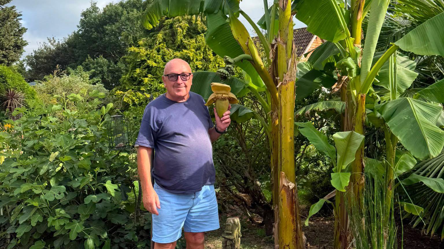 A head and shoulders image of a man wearing a T-shirt and glasses while holding a banana plant.