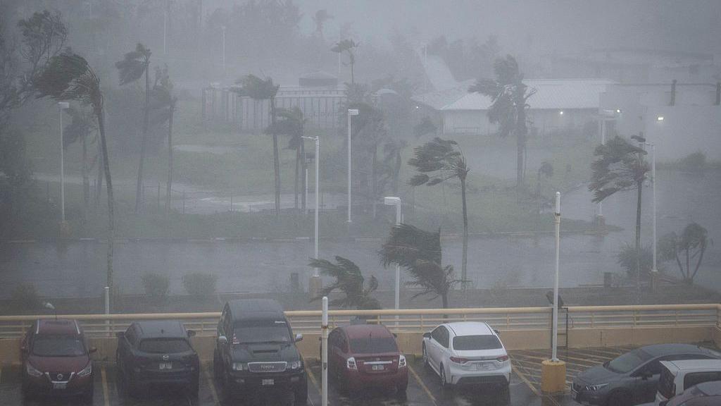 Trees are blown in strong wind and rain behind a full car park