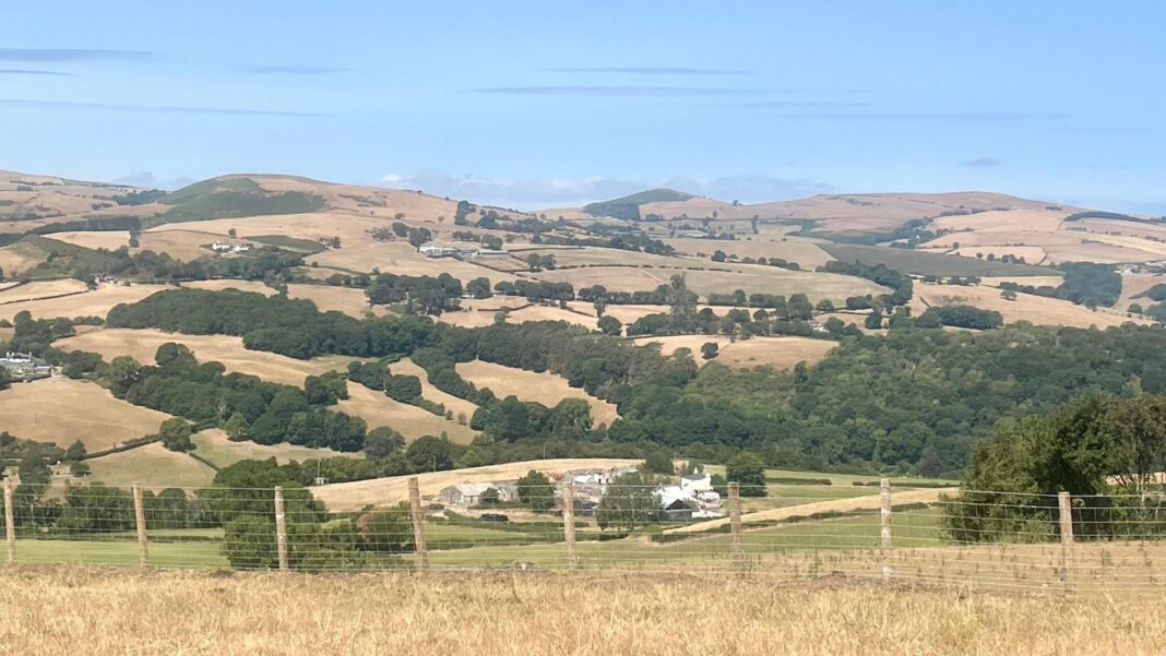 More than half of England officially in drought, Environment Agency says More than half of England officially in drought, Environment Agency says