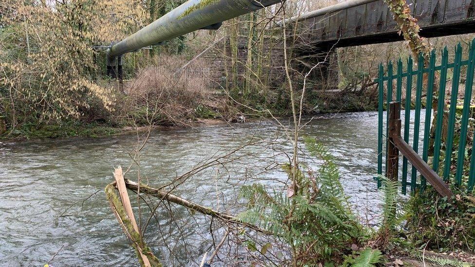 A river with trees around it. there's a pipe and a bridge going over the river. There's also a green fence on the left hand side.