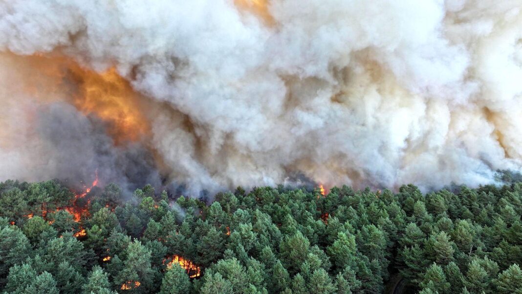 Planes sent to tackle wildfires of ‘exceptional scale’ near Paris Planes sent to tackle wildfires of ‘exceptional scale’ near Paris