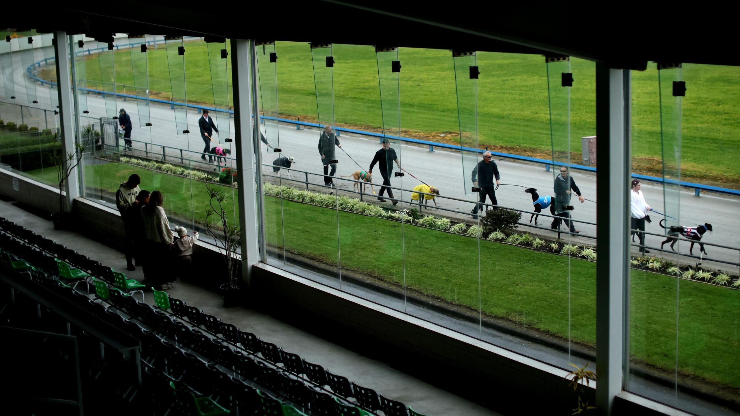 Owners and trainers with their greyhounds at the Manukau Stadium during the Stars of Manukau 2000 - 2010 race meeting on June 21, 2026 in Auckland, New Zealand. Commercial greyhound racing is ending in New Zealand and will be officially banned from August 1, 2026 due to animal welfare concerns.