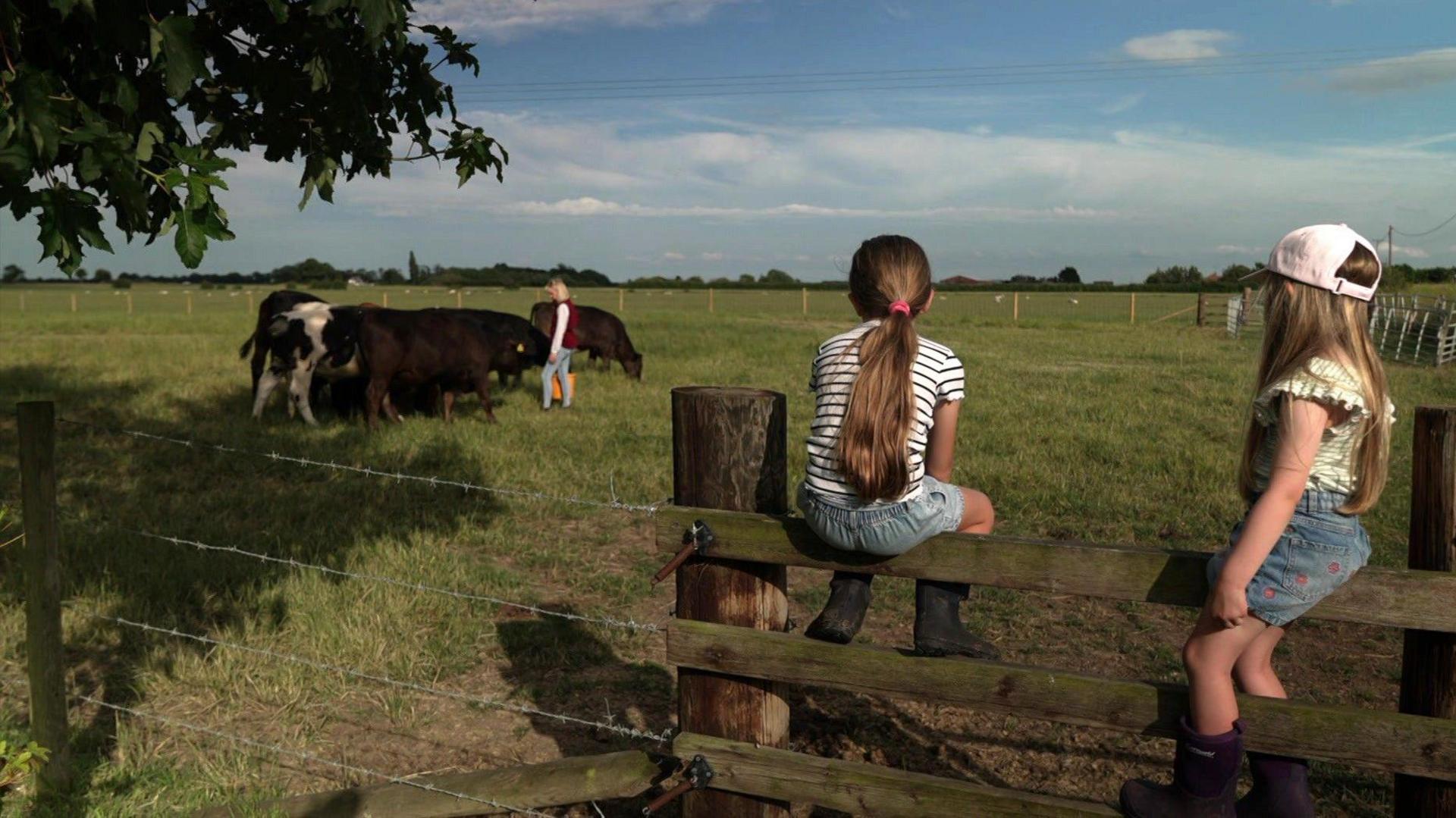 A farm scene looking across green fields. Two young girls wearing T-shirts and denim shorts sit on a wooden fence with their backs to the camera as a woman wearing a red gillet and blue jeans feeds a group of four brown and white cows. The sky is blue and cloudy.