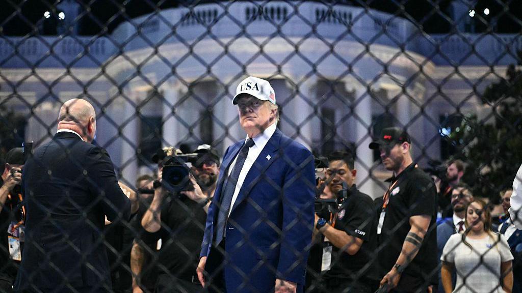 US President Donald Trump seen through metal wire fencing. He is wearing a blue suit and a white baseball cap that says "USA". In the background is a crowd of people and the White House
