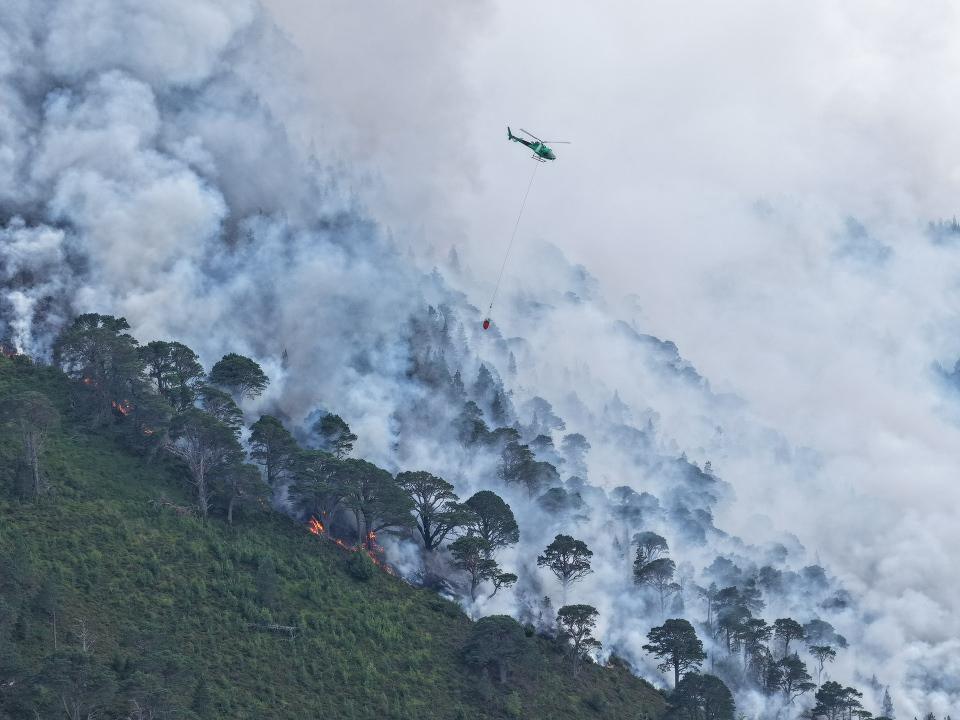 A green hillside with trees in the bottom left of the picture, with more trees engulfed in smoke above them and a helicopter dropping water on the fire