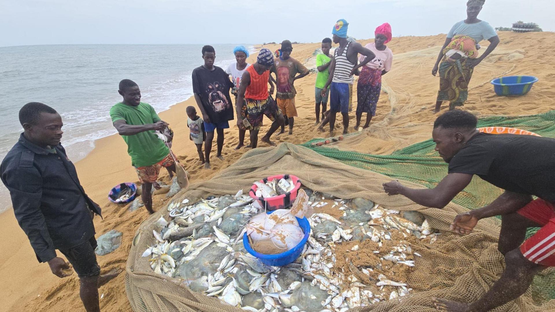 Fisherman on Sherbo Island in Sierra Leone stand around a net holding their latest catch
