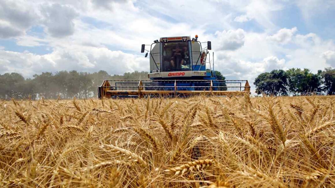 Russian strikes threaten Ukraine’s Black Sea grain trade Russian strikes threaten Ukraine’s Black Sea grain trade