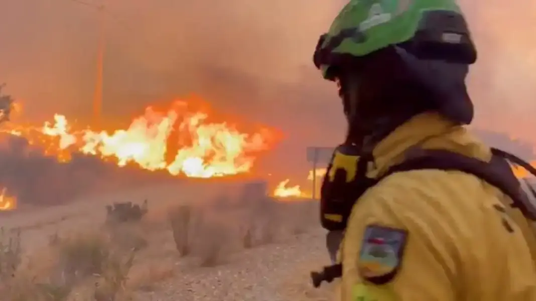 At least 12 die in Spanish wildfire as heatwave grips Europe At least 12 die in Spanish wildfire as heatwave grips Europe