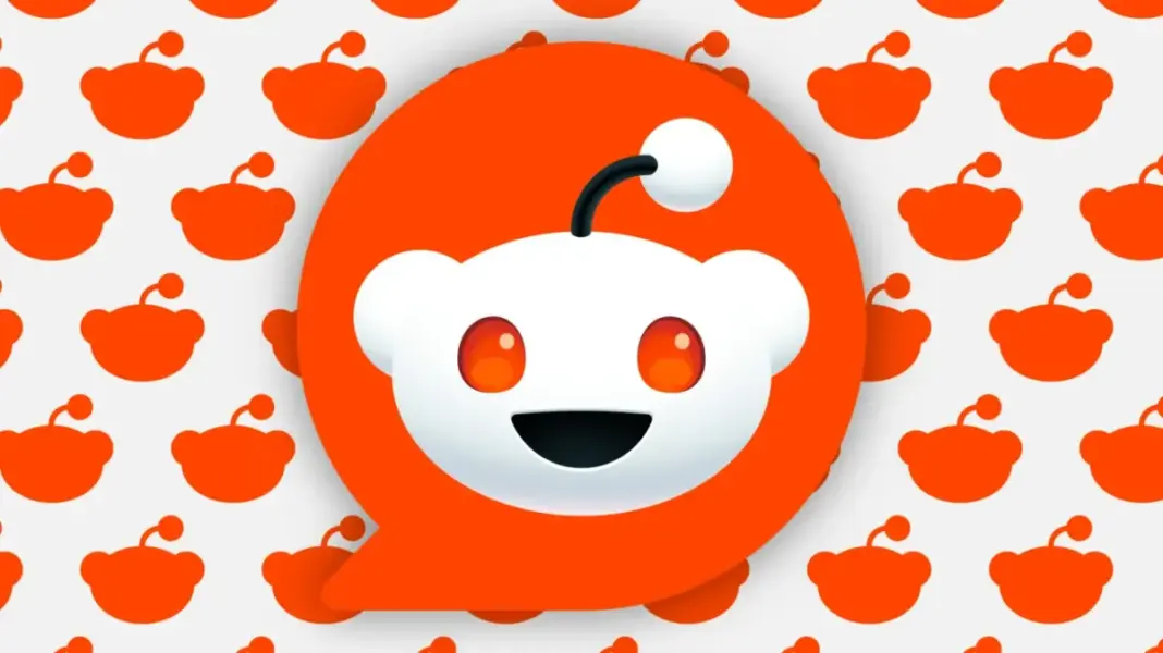 Reddit reports a solid quarter but shows signs of AI’s impact Reddit reports a solid quarter but shows signs of AI’s impact