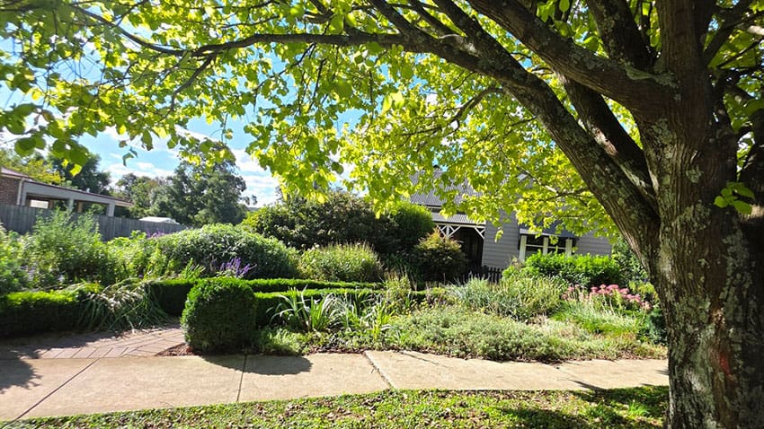 The Liability Growing Quietly on Your Land: Why Trees Belong on the Risk Register The Liability Growing Quietly on Your Land: Why Trees Belong on the Risk Register