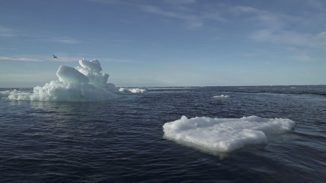 Why last two years are worrying for future of Arctic Why last two years are worrying for future of Arctic