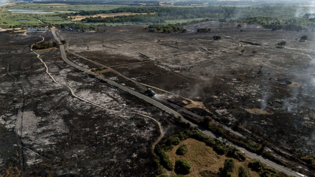 ‘Total devastation’: Suffolk wildfire still burning after two days as National Trust launches appeal ‘Total devastation’: Suffolk wildfire still burning after two days as National Trust launches appeal