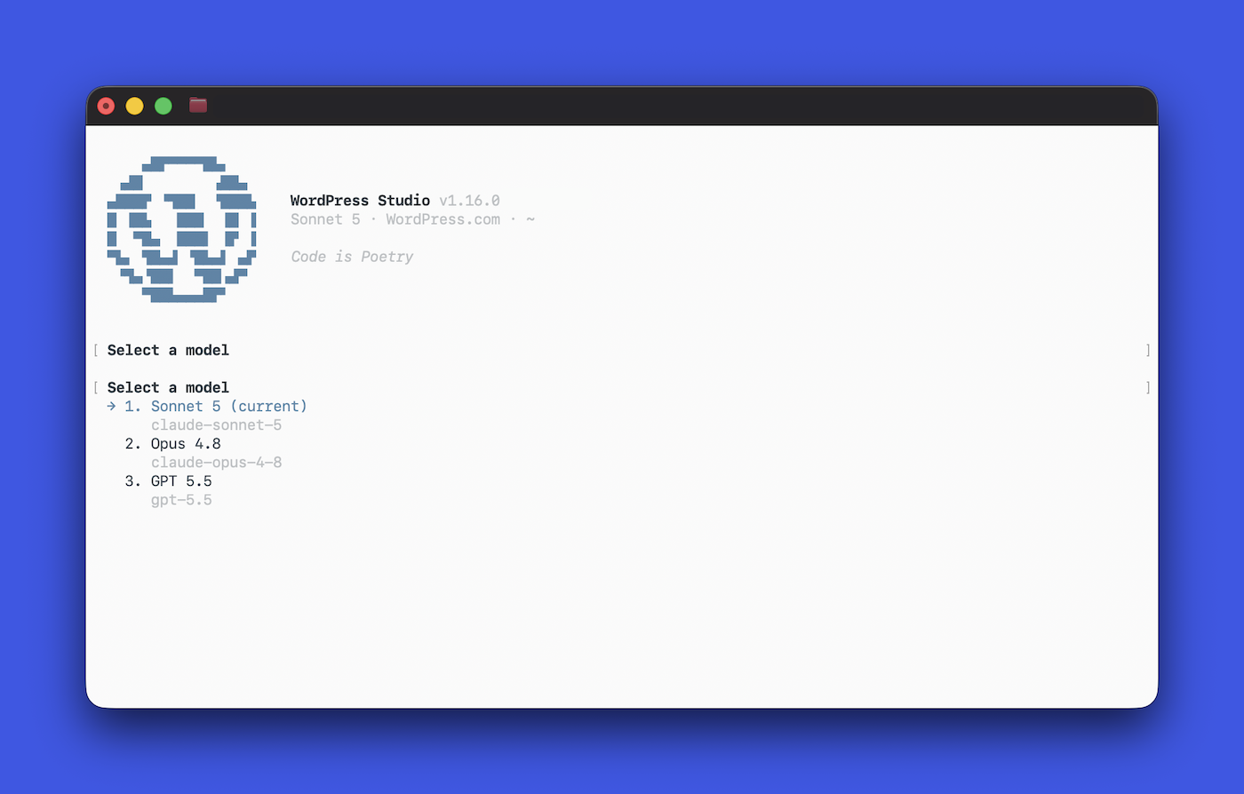 The available models for Studio Code in a terminal window