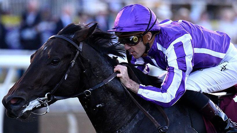 Gstaad winning the Breeders' Cup Juvenile Turf in November 2025