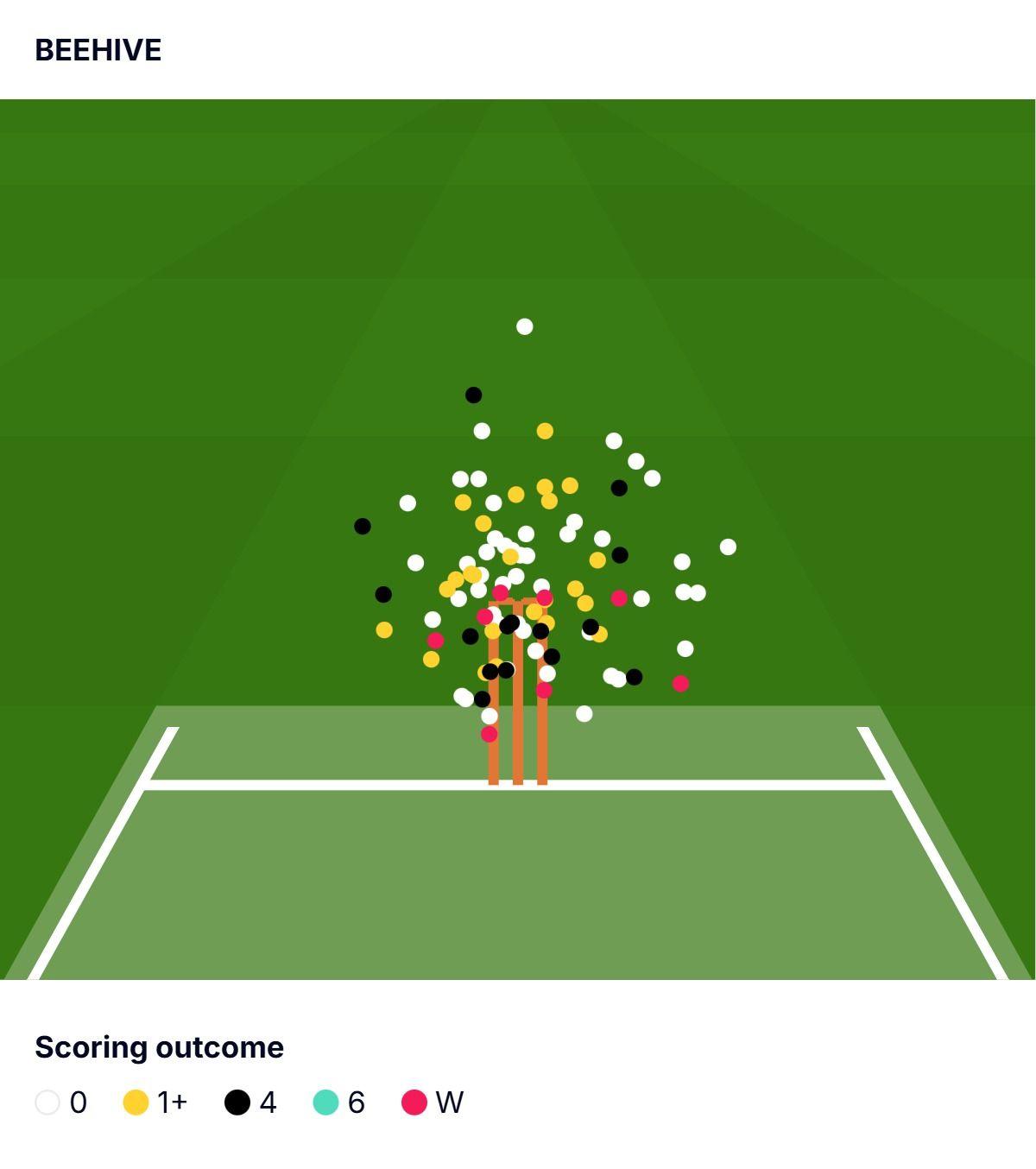 Josh Tongue beehive v Pakistan in first Test at Headingley