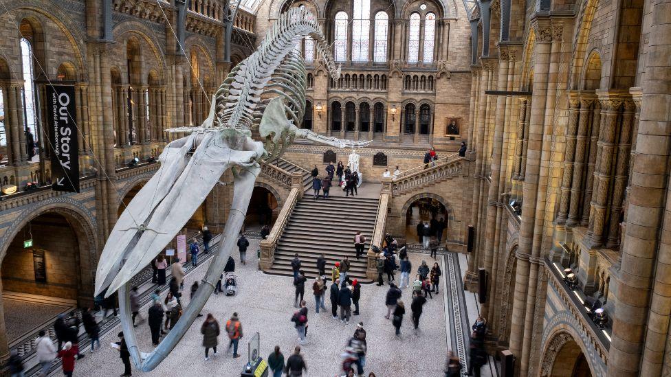 Visitors beneath the suspended skeleton of a Blue Whale in the Hintze Hall, the main entrance atrium at the Natural History Museum on 6th January 2026 in London, United Kingdom.