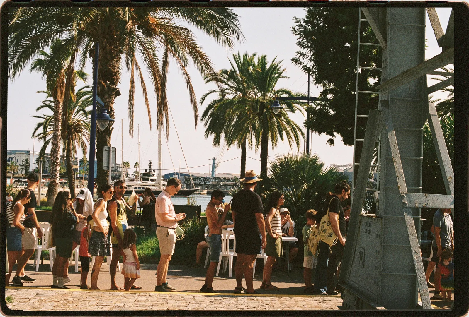 Image may contain Pelle Miljoona Palm Tree Plant Tree Summer Clothing Shorts Water Waterfront City and Road