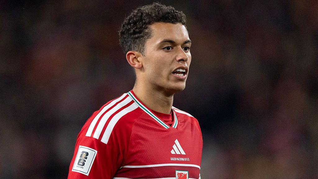 Johnson tipped to thrive under Moyes at Everton Johnson tipped to thrive under Moyes at Everton