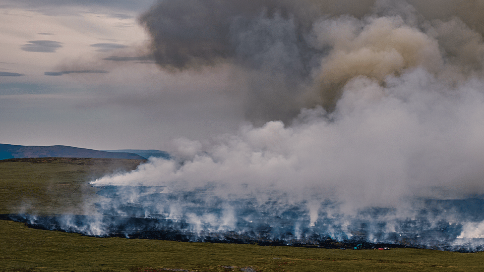Aerial view of wide swathe of fire on charred moorland as smoke rises