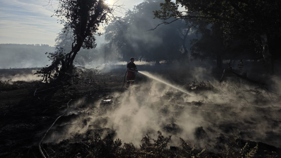 A firefighter tackling a fire in a heathland