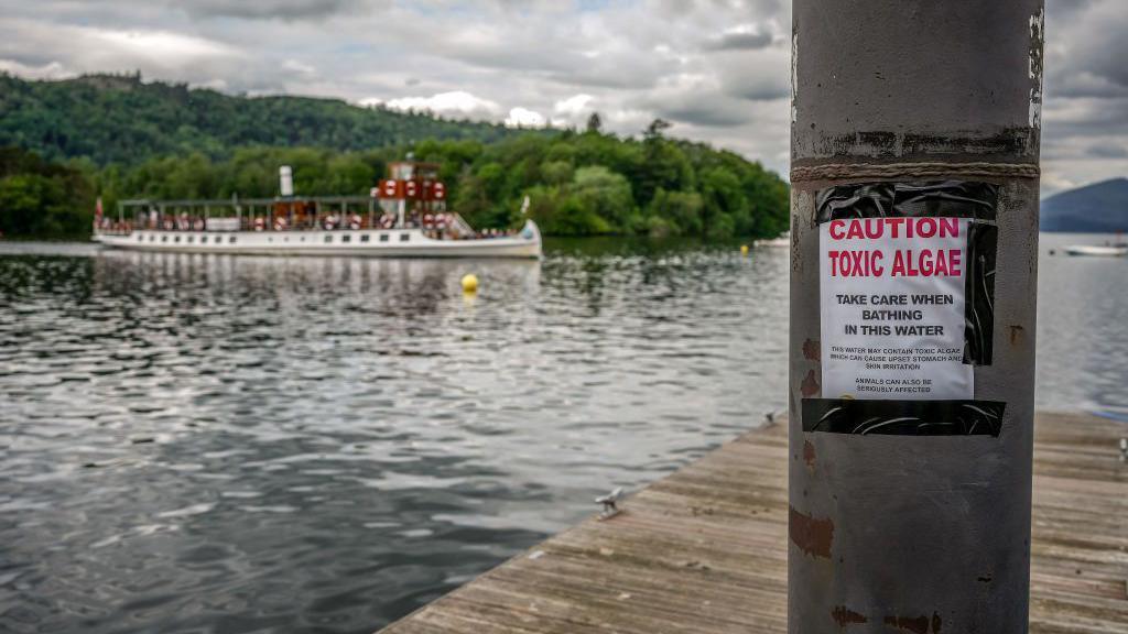 A boat sails on Lake Windermere while in the foreground a sign warns bathers of toxic algae in the water