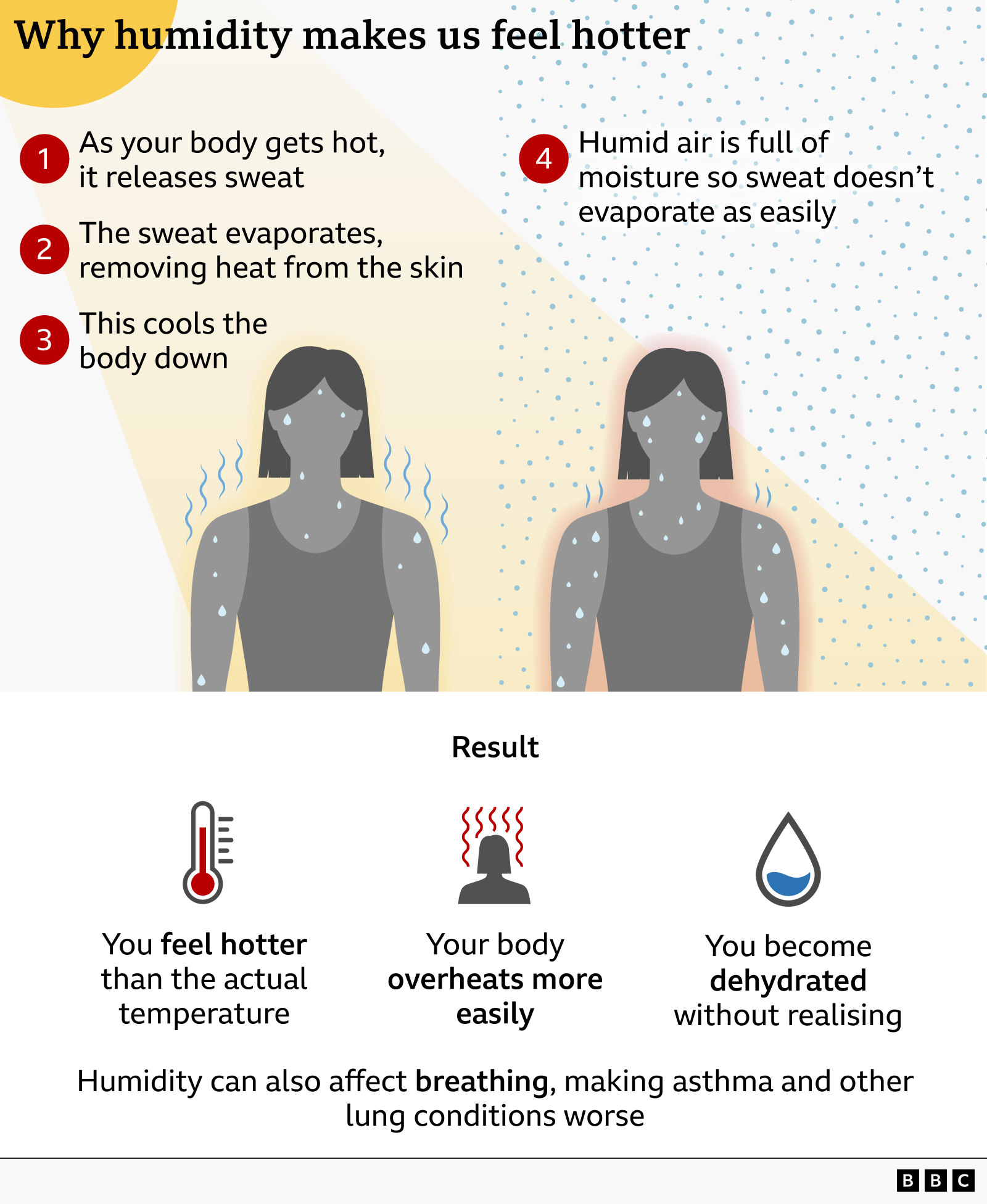 Graphic explaining why humidity makes you feel hotter. It shows the Sun shining on a figure and explains that normally, as you get hotter and start to sweat, the sweat evaporates, cooling your body. However in humid air, evaporation slows, which reduces cooling. The result is you feel hotter, overheat faster, and dehydrate more easily.