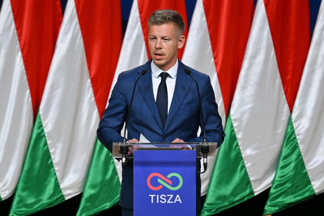 Former judge removed by Orbán elected Hungarian president Former judge removed by Orbán elected Hungarian president