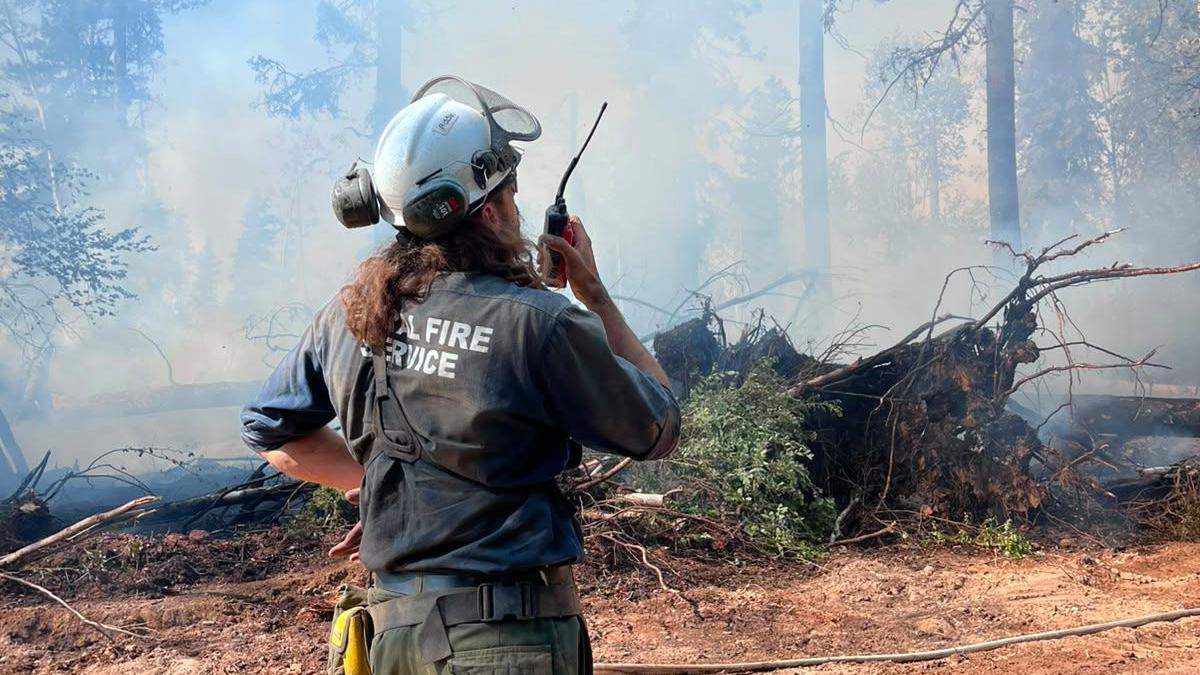 A firefighter, wearing a helmet and speaking into a walkie-talkie with his back to the camera, stands in a forest filled with smoke