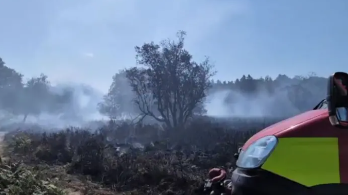 A scene of the damage caused by a wildfire in heathland, with a fire engine in the right foreground.