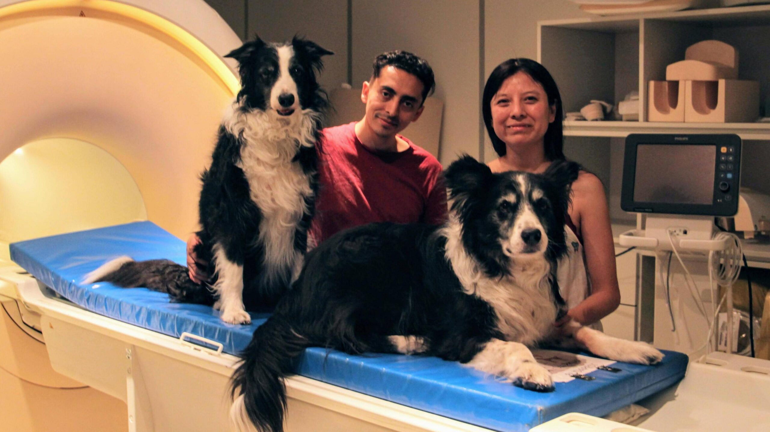 The image shows two researchers - a man on the left and a woman on the right - standing next to the bed of a medical scanner. Sitting on the bed are two relaxed, happy-looking border collies. This is a picture of scientists Raúl Hernández-Pérez and Laura Cuaya with their dogs Odín and Kun-kun.