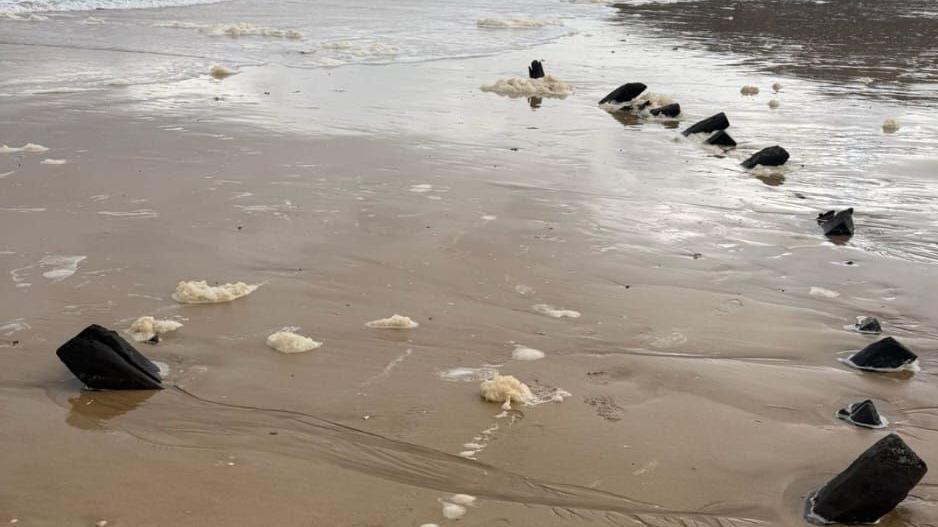 A series of wooden structures in a curved line are protruding out of the sand. Water covers some of the beach.