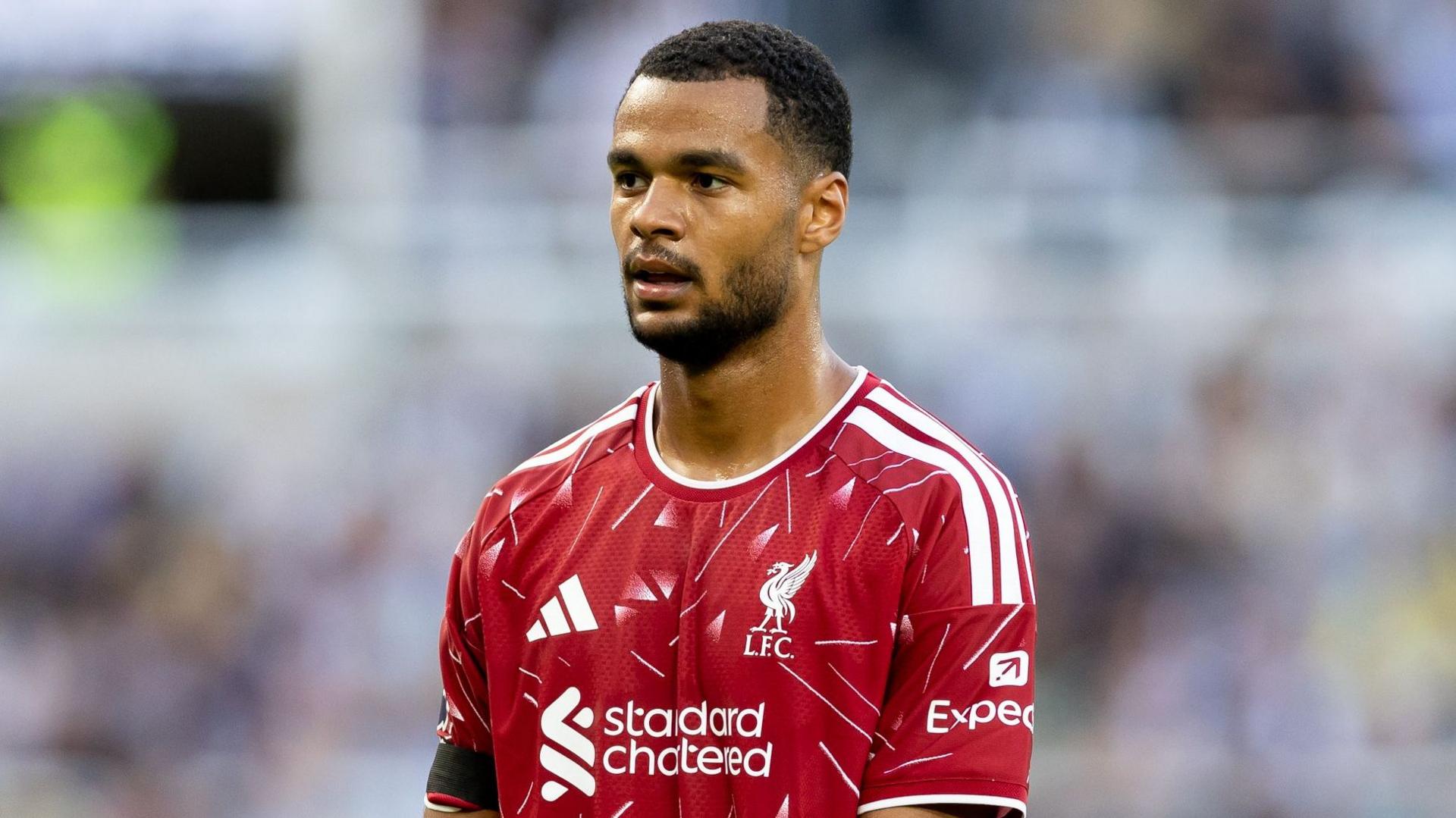 Liverpool forward Cody Gakpo