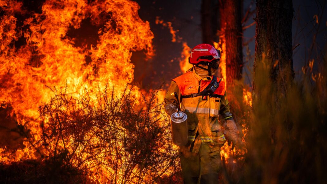 Hundreds arrested over French wildfires, but who is to blame? Hundreds arrested over French wildfires, but who is to blame?