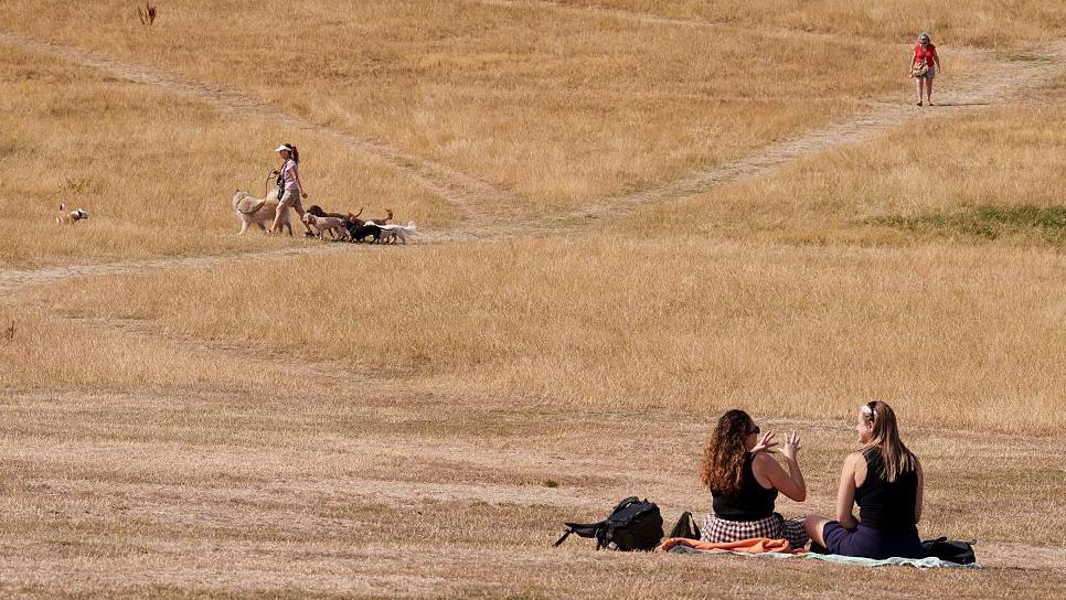 scorched brown grass with two people sat down talking.  In the distance a woman is walking some dogs