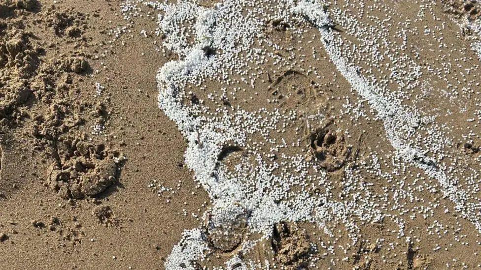 Lots of white tiny plastic pellets are on the surface of a beach. The sand is a brown colour and has a shoe print in it.