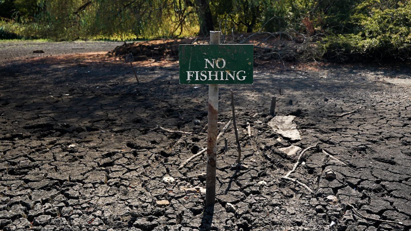 A baked, cracked bed is all that is left of the Falmer Pond in East Sussex. A green sign, saying "No Fishing" stands in the middle of the depleted pond.