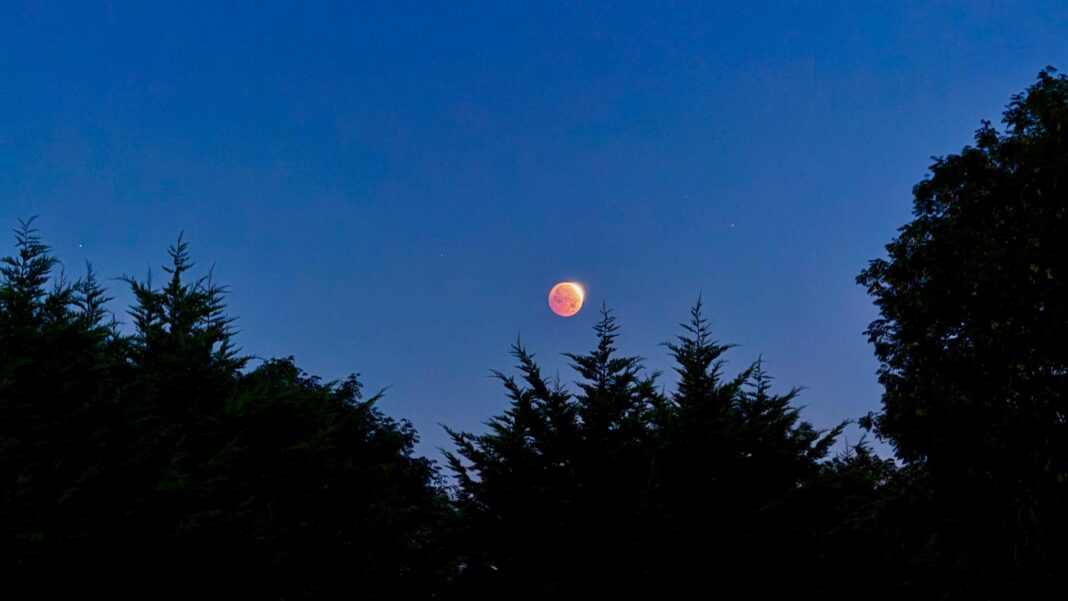Stunning photos capture August’s Sturgeon Moon Stunning photos capture August’s Sturgeon Moon