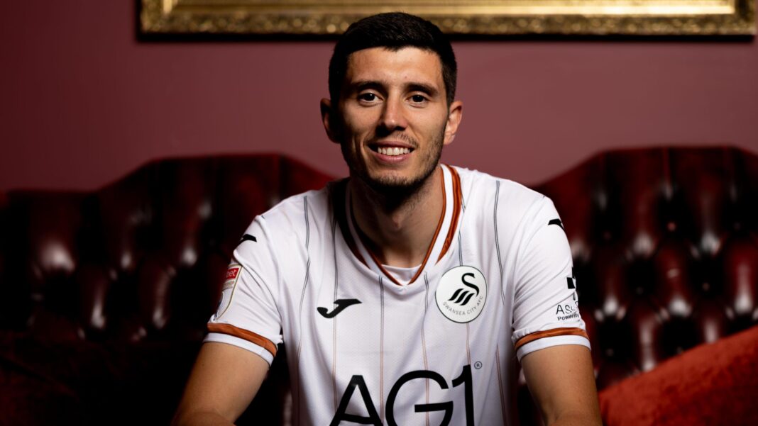 Swansea sign Scotland striker Stewart Swansea sign Scotland striker Stewart