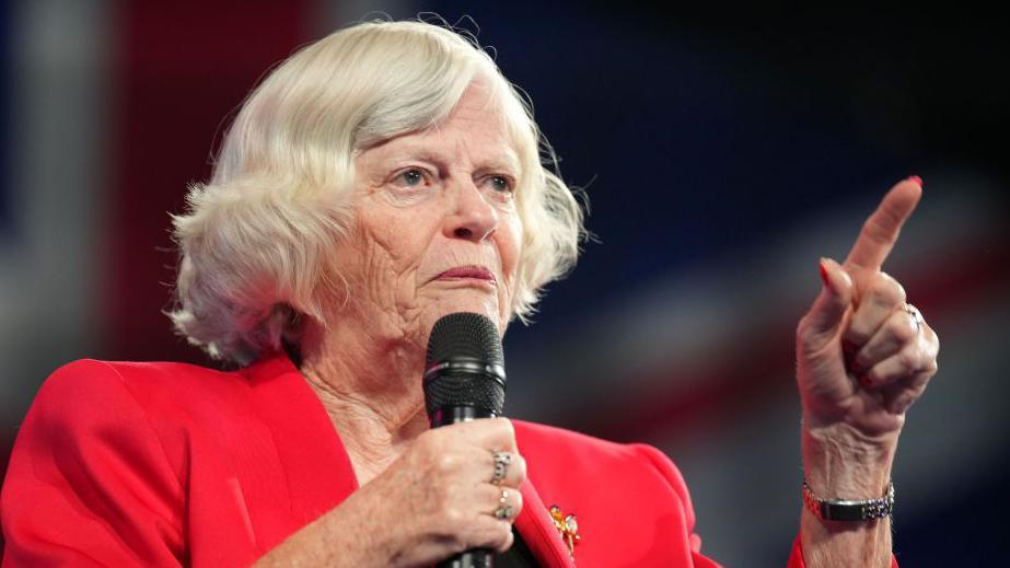 Ann Widdecombe wears a red jacket and holds a microphone while speaking at the Reform Party 2024 Conference.