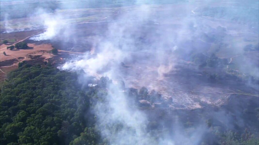 New Forest wildfire continues as temperatures rise New Forest wildfire continues as temperatures rise