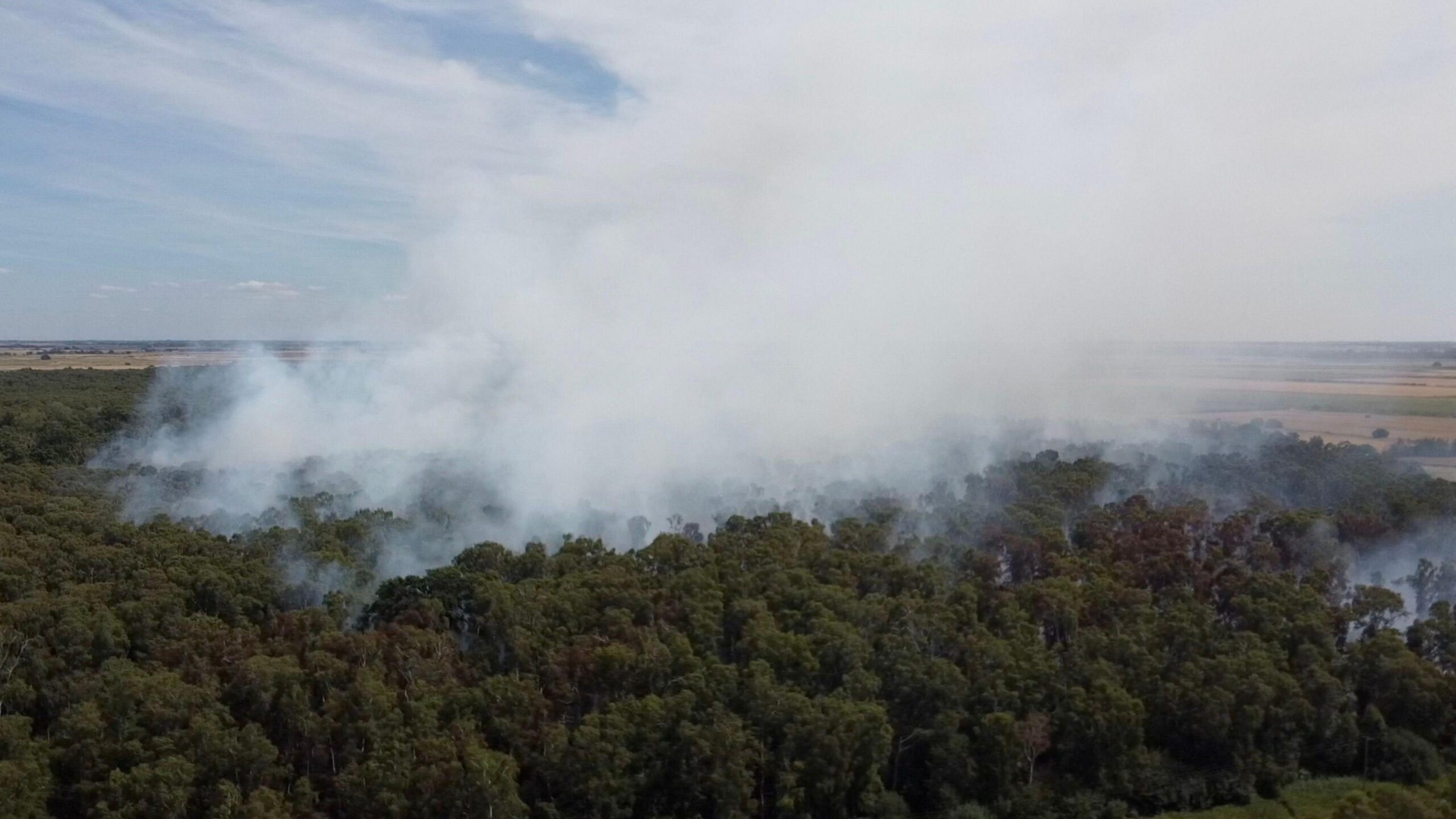 A drone image of the burning peatland, with plumes of white smoke in the air above the trees.