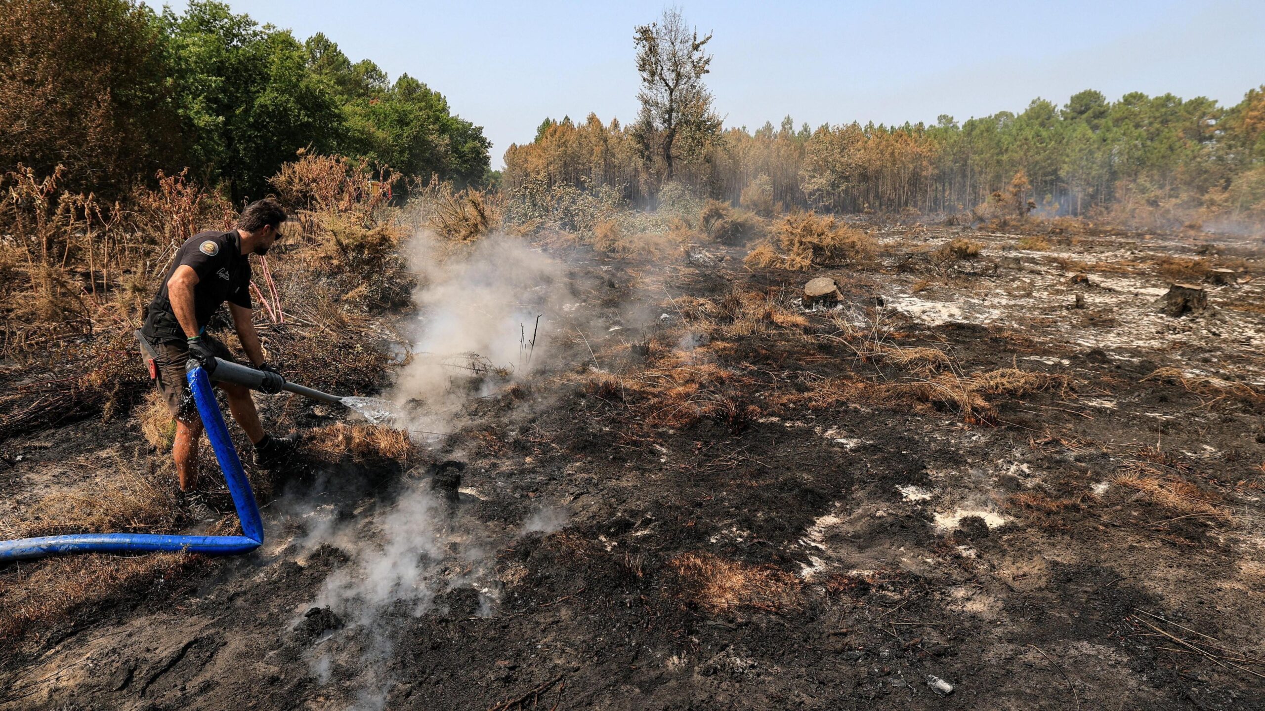 A volunteer sprays water in a burnt forest area