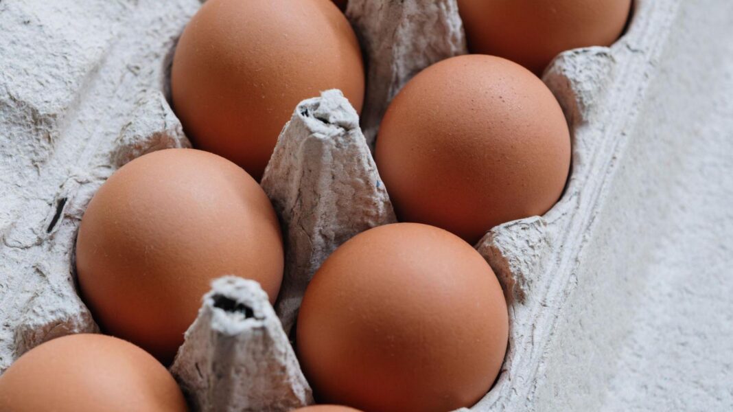 One dead and hundreds ill in UK salmonella outbreak One dead and hundreds ill in UK salmonella outbreak
